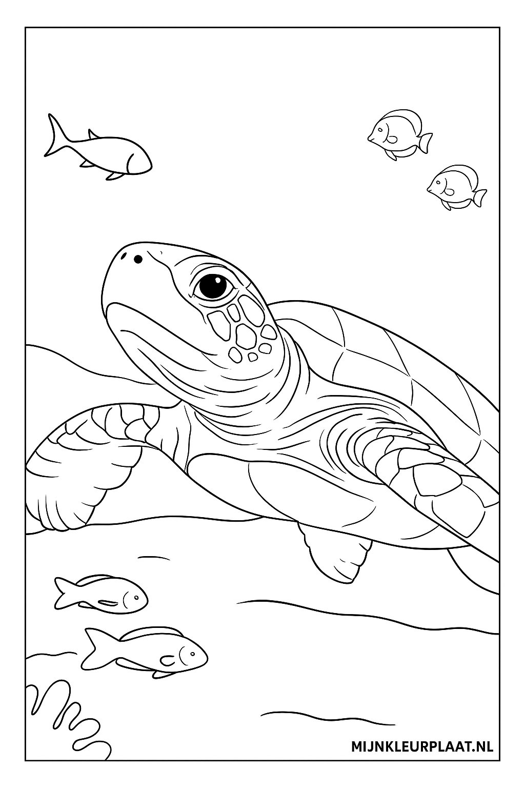 Childrens coloring page