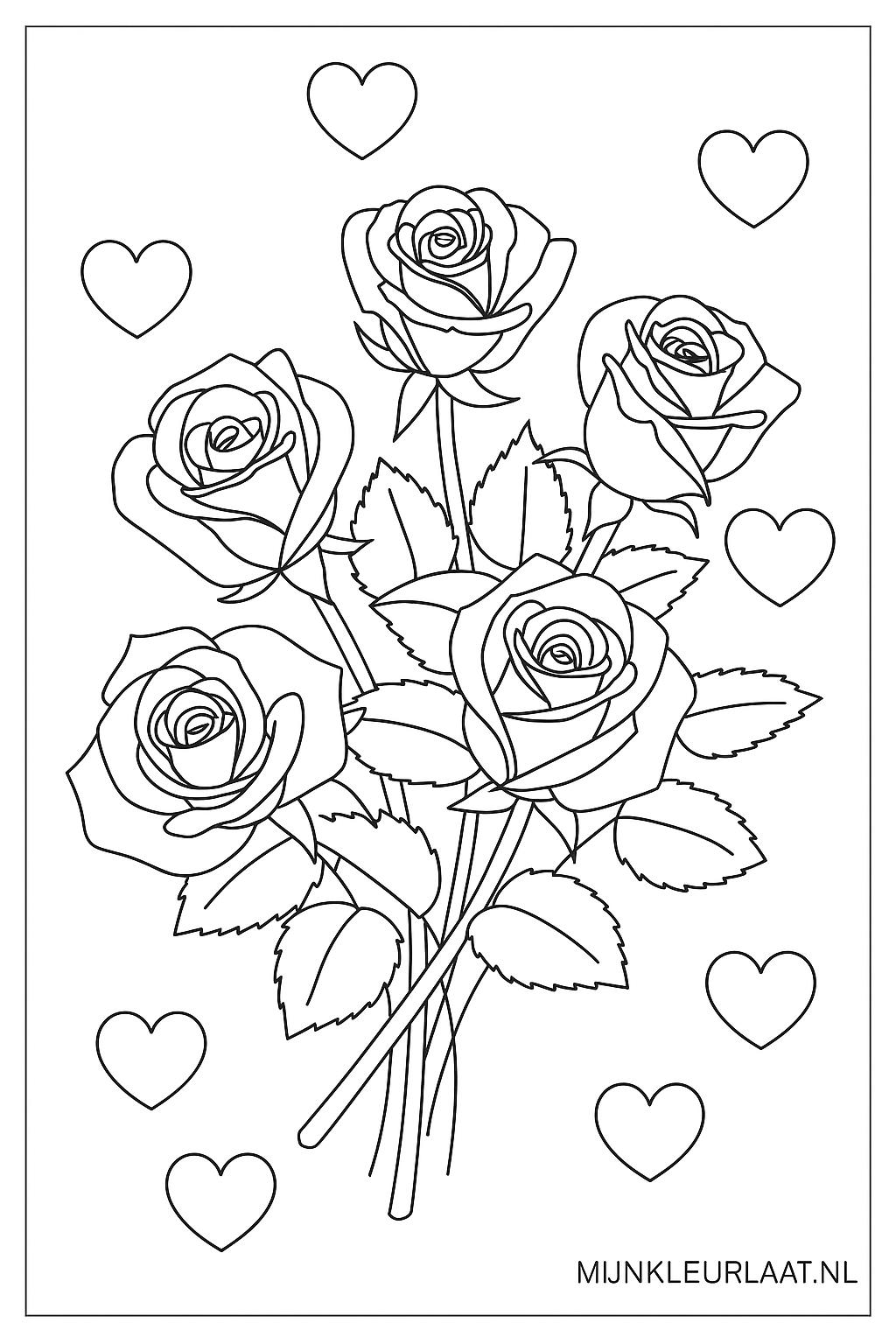 Please provide the Dutch text you would like translated.