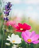 Childrens coloring page