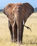 Childrens coloring page