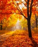 Childrens coloring page