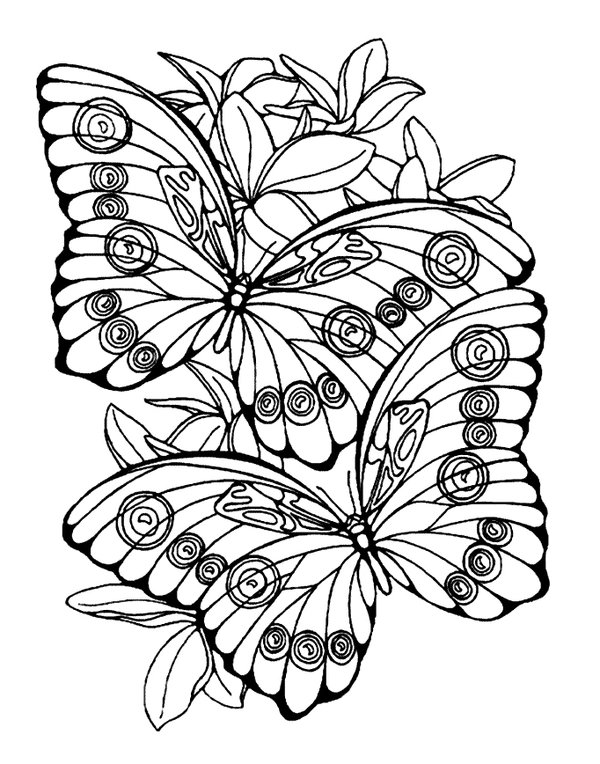 Childrens coloring page