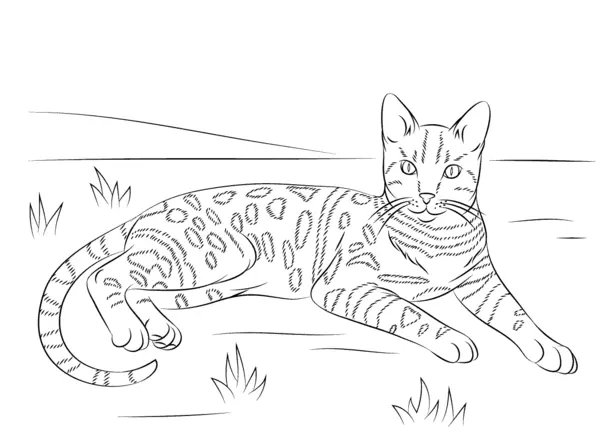 Childrens coloring page
