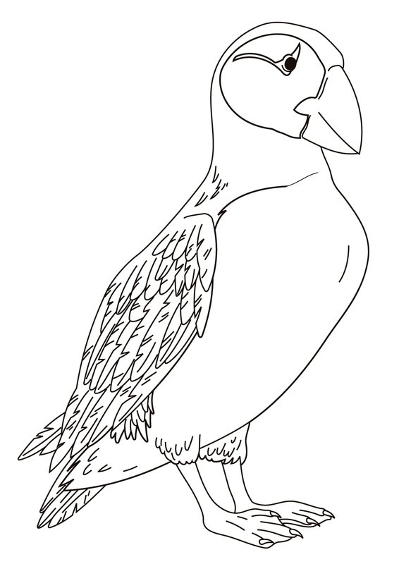 Coloring page for kids