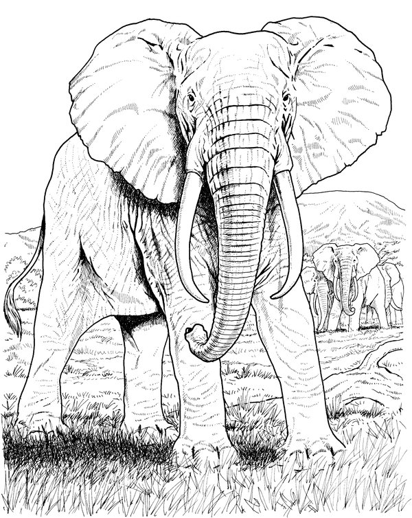 Coloring page for kids
