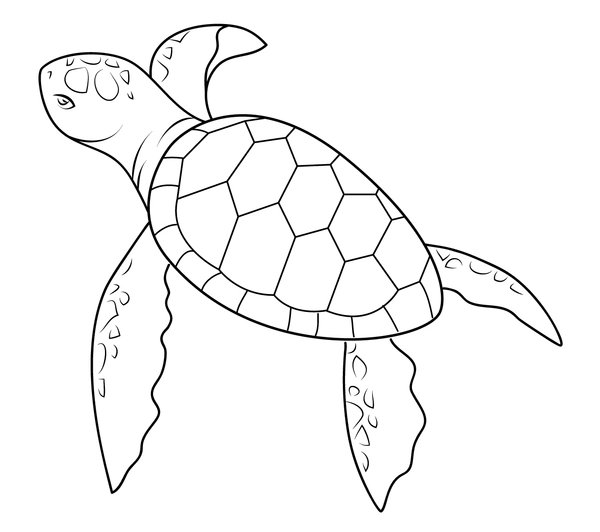 Coloring page for kids