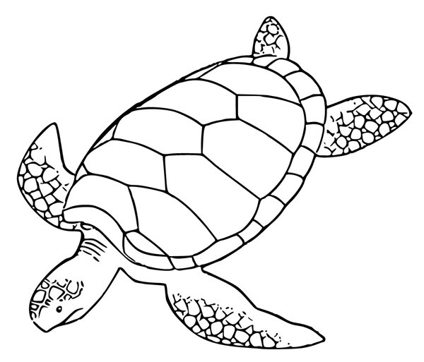 Coloring page for kids