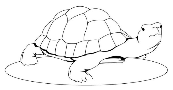 Coloring page for kids