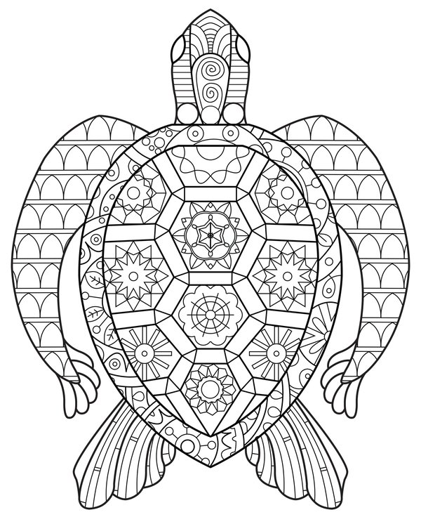 Coloring page for kids