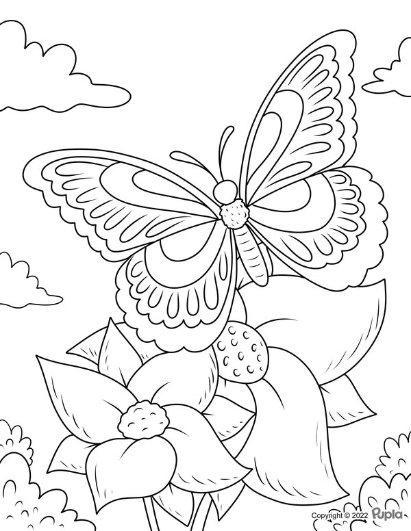 Childrens coloring page