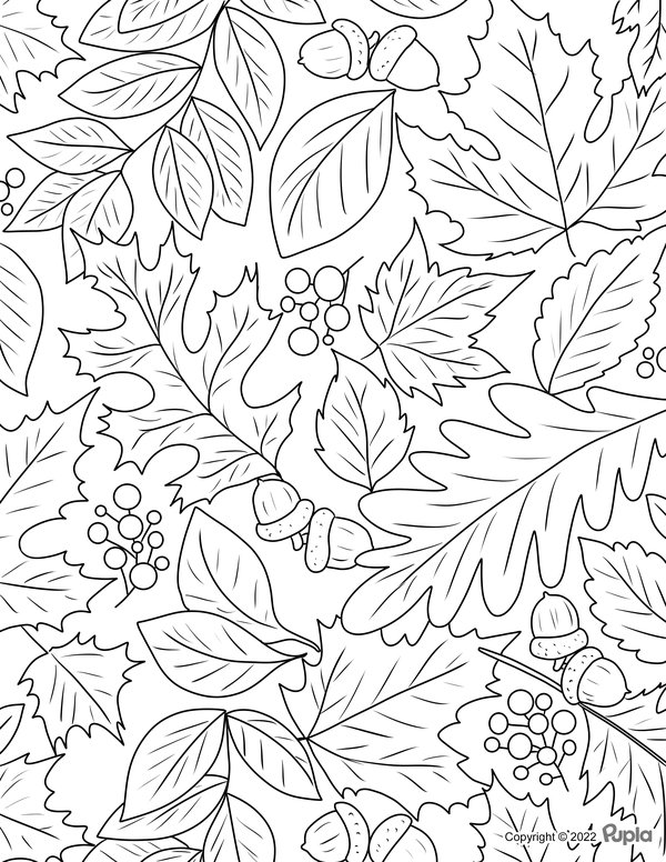 Childrens coloring page
