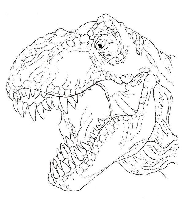 Coloring Page Dinosaur T-Rex Head