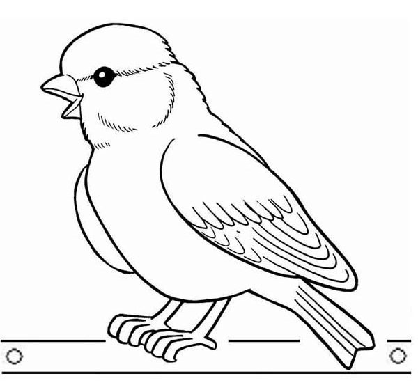 Coloring Page Goldfinch Bird
