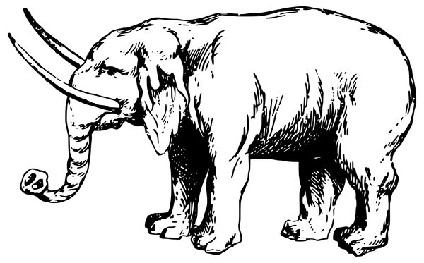 Coloring Page Elephant with Long Tusks