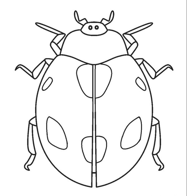 Childrens coloring page