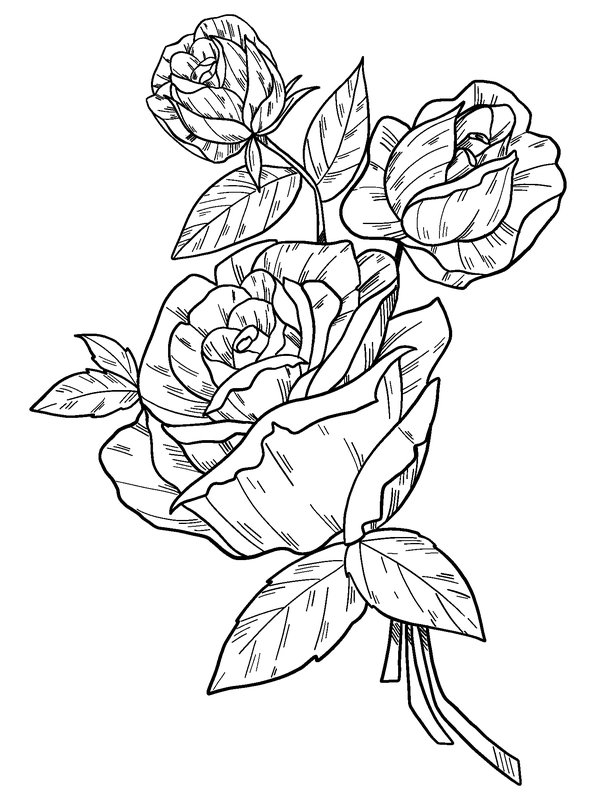 Childrens coloring page