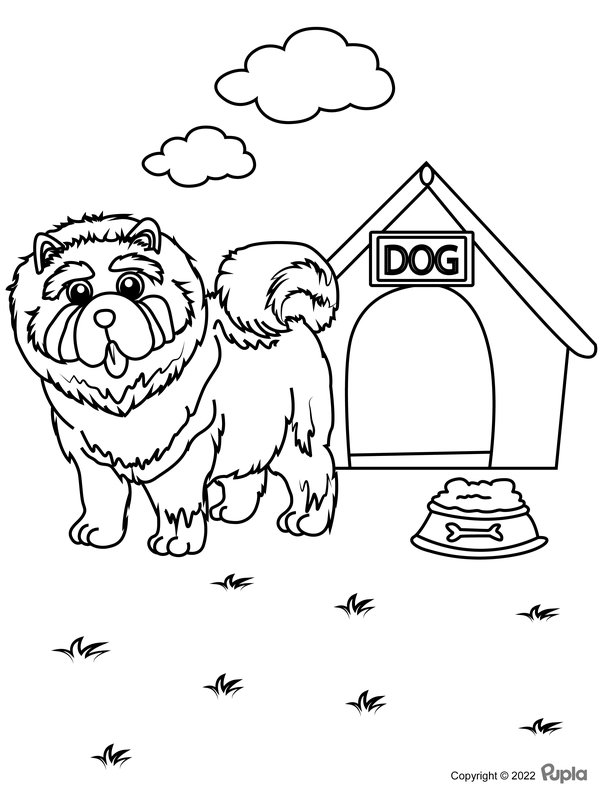 Saint Bernard Dog Coloring Page