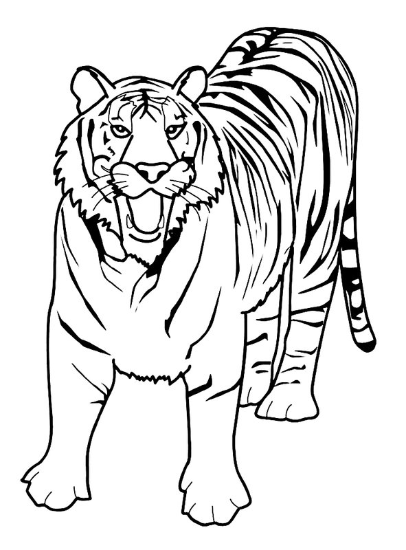 Childrens coloring page