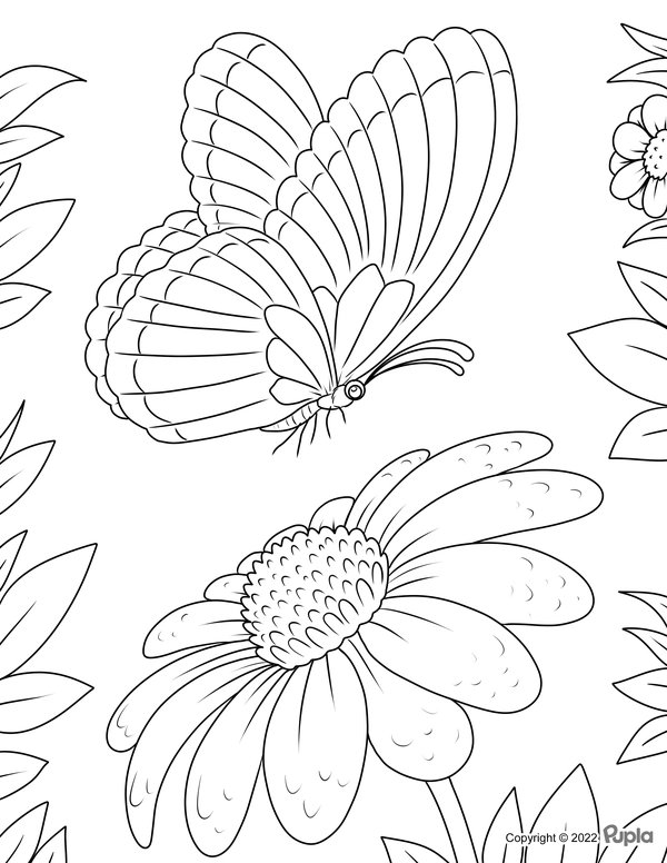 Childrens coloring page